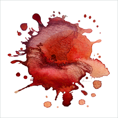 IMG03png