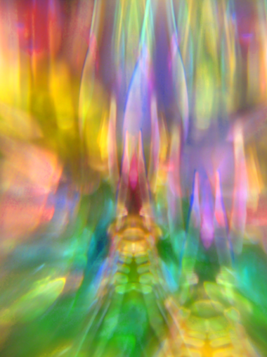 IMG03png
