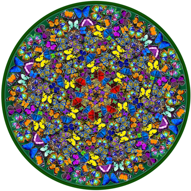 IMG03png
